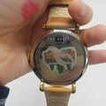 Ted Baker Gold Hamilton Case Woman’s Quartz Watch